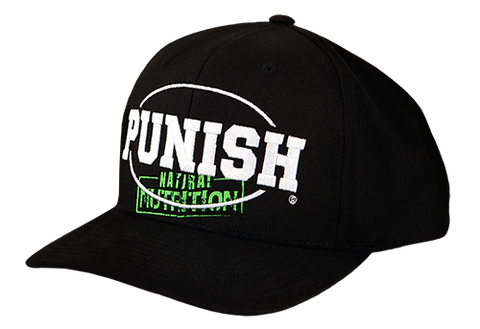 Punish Cap - Flex fit - Flat Peak